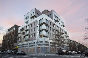 410 Tompkins Ave | Brooklyn, NY 11216